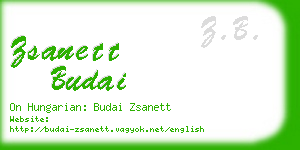 zsanett budai business card